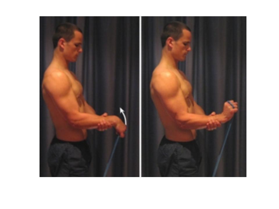 https://www.drxuacupuncture.co/wp-content/uploads/2011/02/fig-2-121.jpg