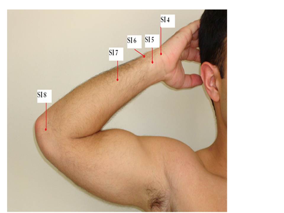 36. Acupuncture and Wrist Pain After Bike RidingUlnar Nerve
